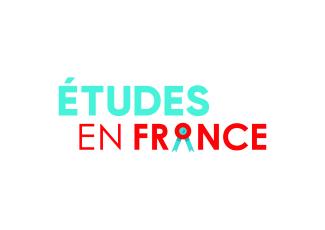 Studies in France website